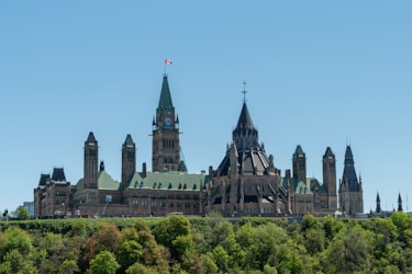 The Parliament buildings and the Peace Tower in Ottawa, above green trees