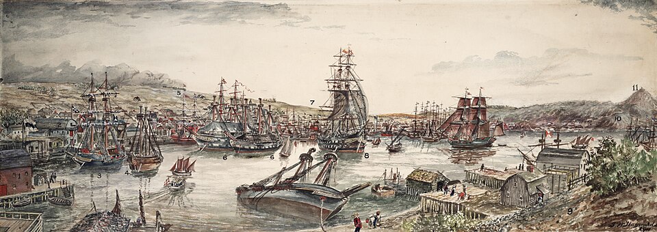 Illustrated view of the town and harbour of St. John's, Newfoundland, in 1911